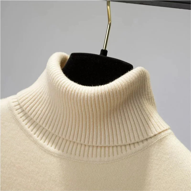 Turtleneck Sweater Elegant